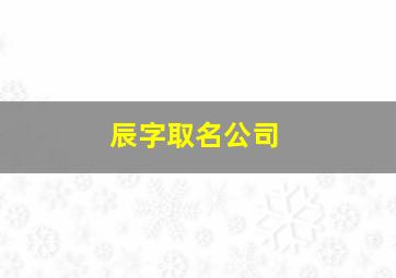 辰字取名公司