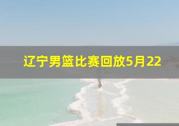 辽宁男篮比赛回放5月22