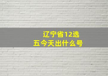 辽宁省12选五今天出什么号