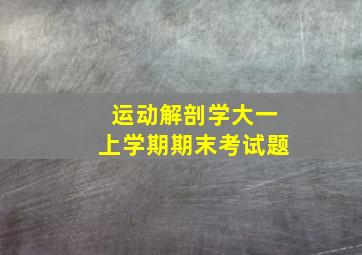 运动解剖学大一上学期期末考试题