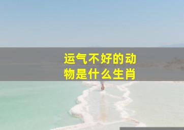 运气不好的动物是什么生肖