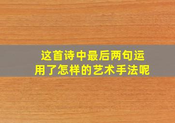 这首诗中最后两句运用了怎样的艺术手法呢