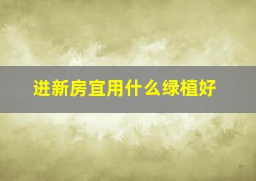 进新房宜用什么绿植好