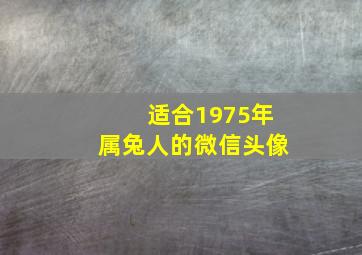 适合1975年属兔人的微信头像