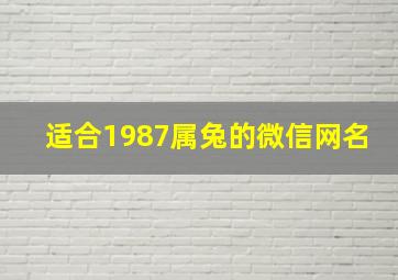 适合1987属兔的微信网名