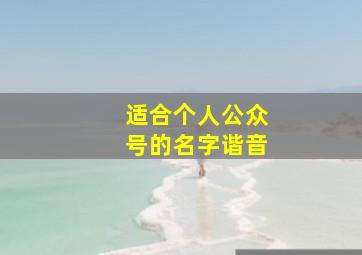 适合个人公众号的名字谐音