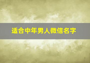 适合中年男人微信名字