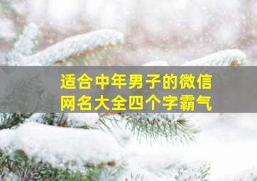 适合中年男子的微信网名大全四个字霸气