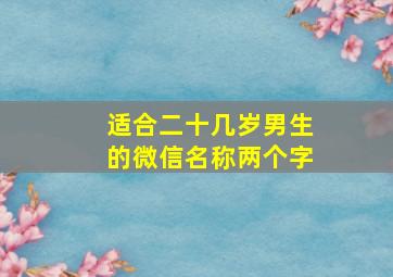 适合二十几岁男生的微信名称两个字