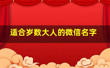 适合岁数大人的微信名字