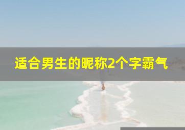 适合男生的昵称2个字霸气