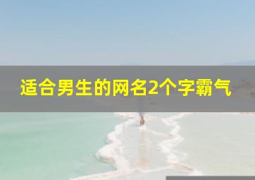 适合男生的网名2个字霸气