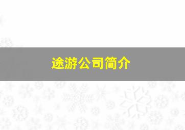 途游公司简介