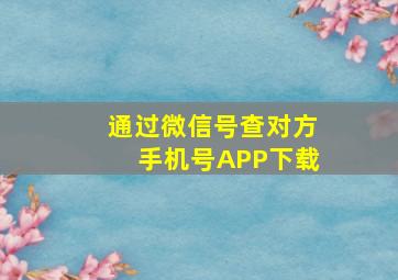 通过微信号查对方手机号APP下载