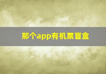 那个app有机票盲盒