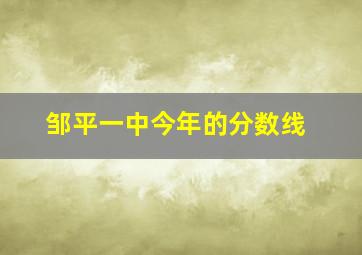 邹平一中今年的分数线