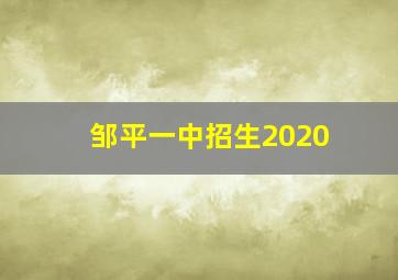 邹平一中招生2020