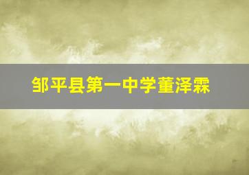 邹平县第一中学董泽霖