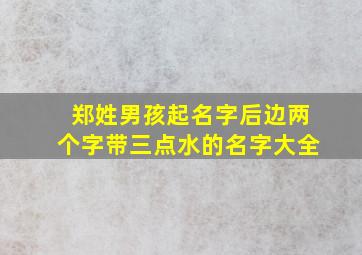 郑姓男孩起名字后边两个字带三点水的名字大全