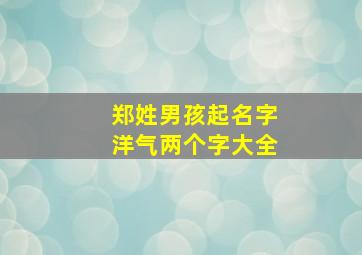 郑姓男孩起名字洋气两个字大全