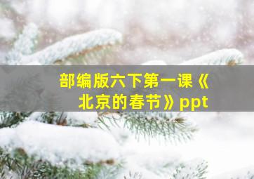 部编版六下第一课《北京的春节》ppt