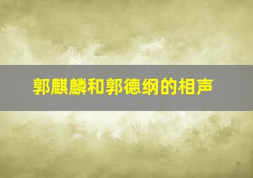 郭麒麟和郭德纲的相声