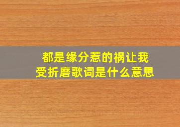 都是缘分惹的祸让我受折磨歌词是什么意思