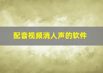 配音视频消人声的软件