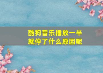 酷狗音乐播放一半就停了什么原因呢