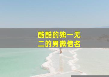 酷酷的独一无二的男微信名