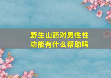 野生山药对男性性功能有什么帮助吗