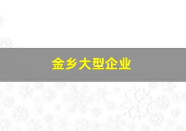 金乡大型企业