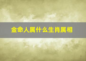 金命人属什么生肖属相