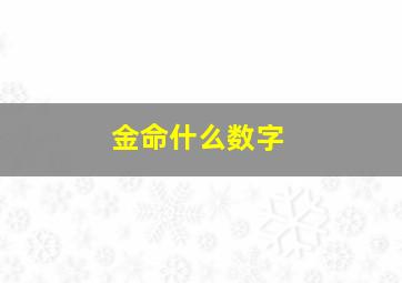 金命什么数字