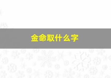 金命取什么字