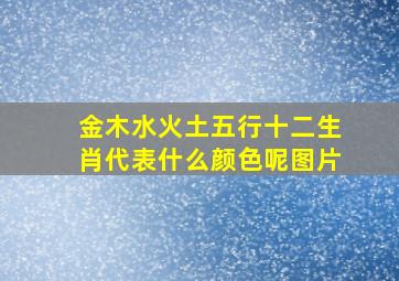 金木水火土五行十二生肖代表什么颜色呢图片