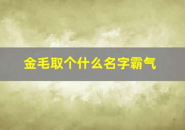 金毛取个什么名字霸气