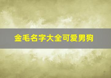 金毛名字大全可爱男狗