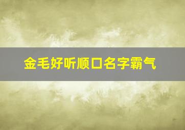 金毛好听顺口名字霸气