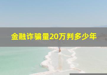 金融诈骗量20万判多少年