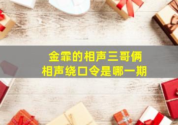 金霏的相声三哥俩相声绕口令是哪一期