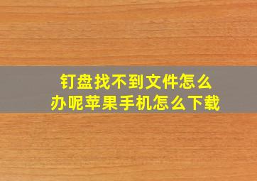 钉盘找不到文件怎么办呢苹果手机怎么下载