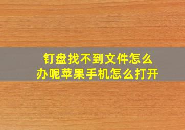 钉盘找不到文件怎么办呢苹果手机怎么打开