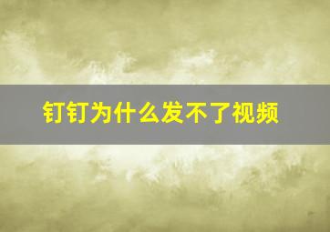 钉钉为什么发不了视频