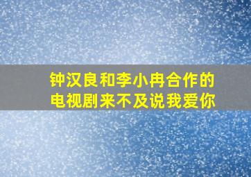 钟汉良和李小冉合作的电视剧来不及说我爱你