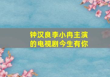 钟汉良李小冉主演的电视剧今生有你