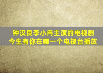 钟汉良李小冉主演的电视剧今生有你在哪一个电视台播放