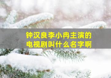 钟汉良李小冉主演的电视剧叫什么名字啊