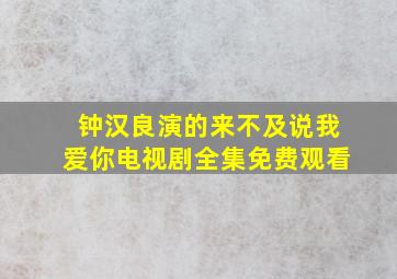 钟汉良演的来不及说我爱你电视剧全集免费观看