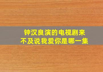 钟汉良演的电视剧来不及说我爱你是哪一集